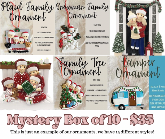 Mystery Ornaments-Box of 10!